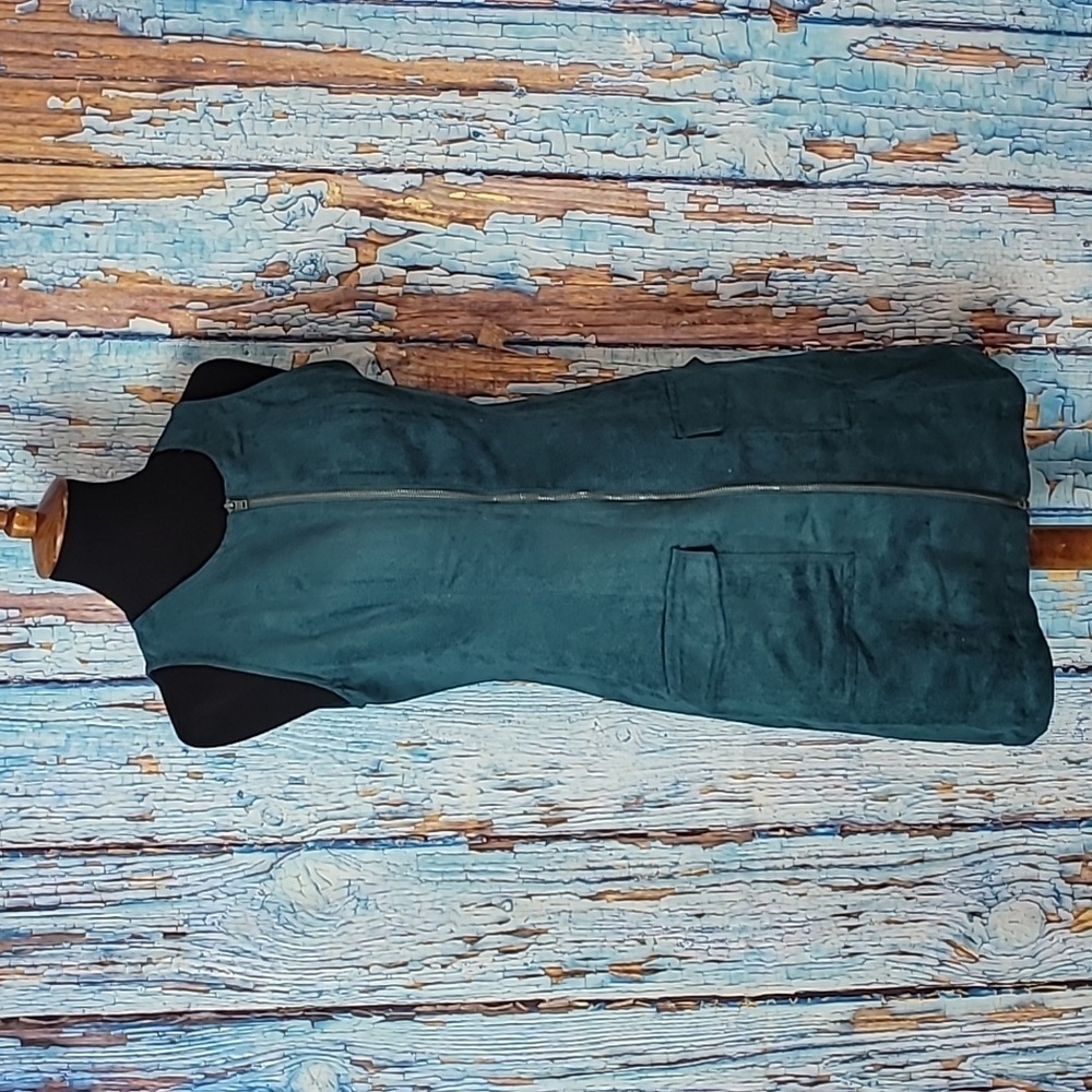 Jack by BB Dakota Suede Mini Dress